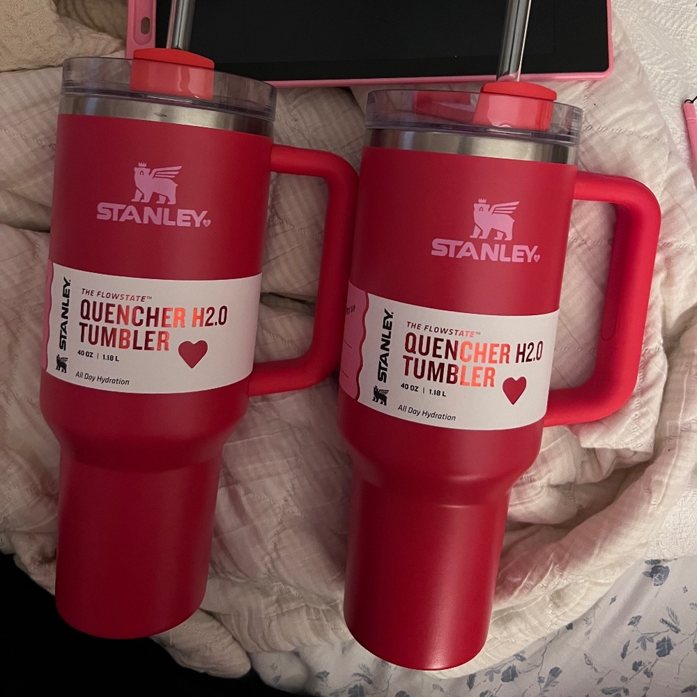 Target Red Stanley 40oz